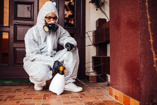 Reliable Wasp Removal contractor in Carrabelle, FL by Show Me Pest Control